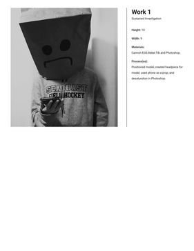 Emily Bass 2-D Art and Design Portfolio-02.jpg
