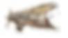 Untitled%20drawing%20(1)_edited.png
