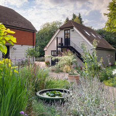 pond6.jpg