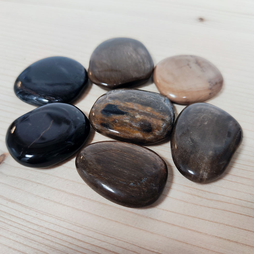 Miniaturbild: Verkieseltes Holz