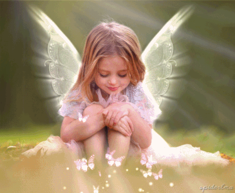 IMG_2625.GIF