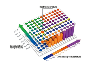 2D Gradient PCR 이란?