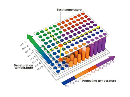 2D Gradient PCR 이란?