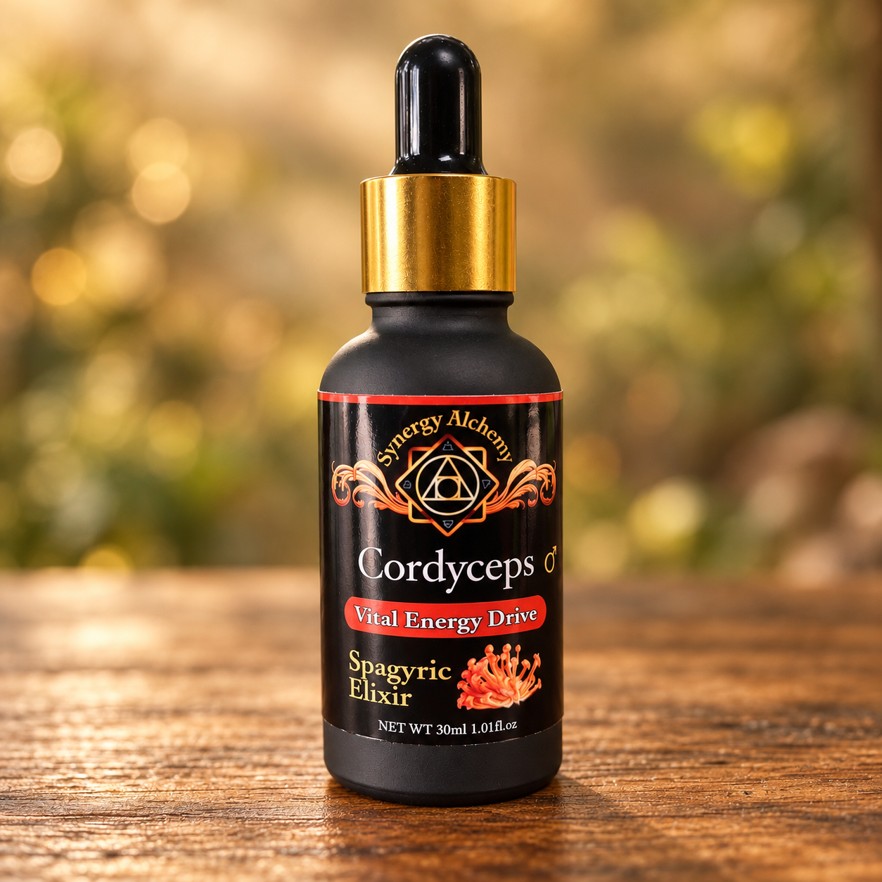 Cordyceps