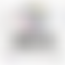 Women's Election Mechanism for Peace - Limpopo