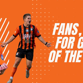 Fans, Vote for Goal of the Year!