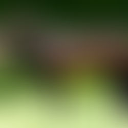 Doublé à Lyon La Soie pour les produits de Zelzal