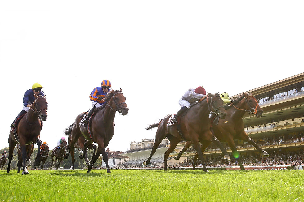Sahlan devance Rosallion, The Lion In Winter & Henri Matisse dans l’une des éditions les plus rapides du Qatar Prix du Moulin de Longchamp Gr.1