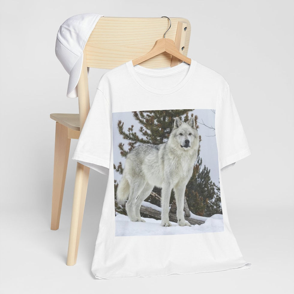 Thumbnail: Unisex Jersey Short Sleeve Tee