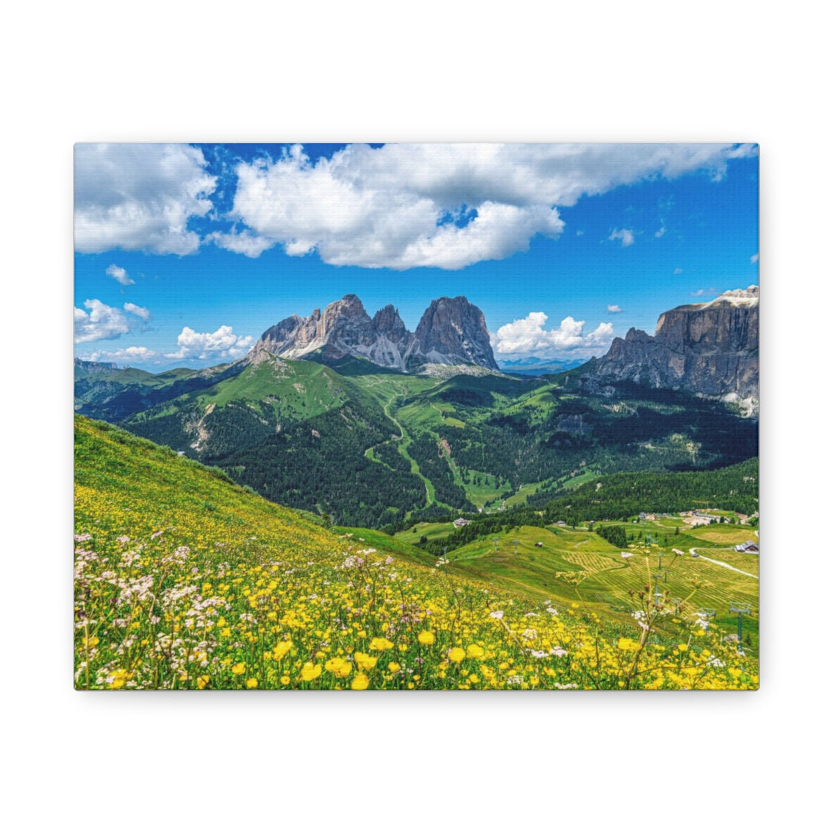 Canvas Gallery Wraps