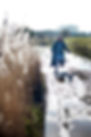 Pippa_images0070.jpg