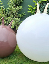 Space hoppers for hire, England, Yorkshire