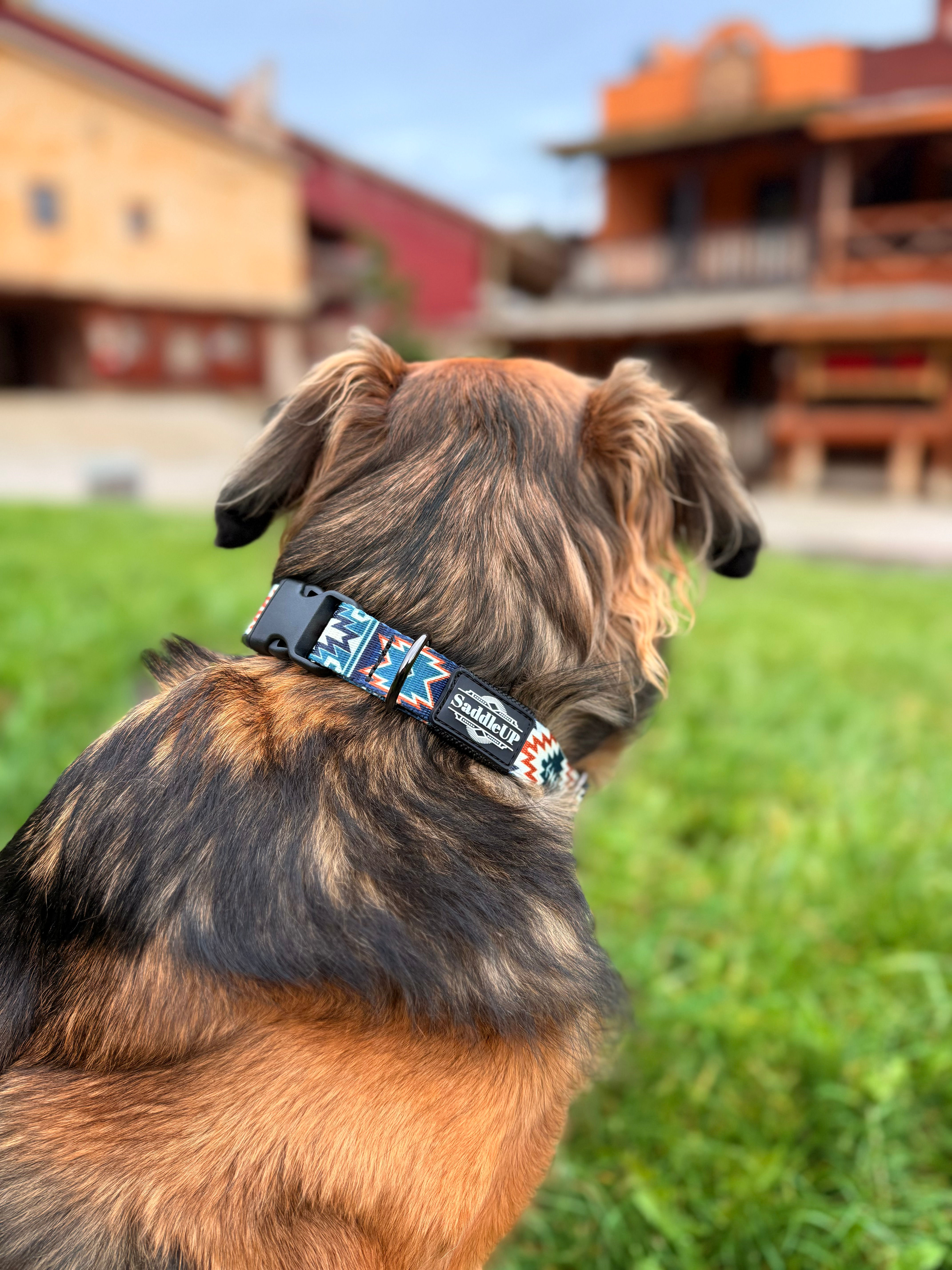 Dog Collar - Montana