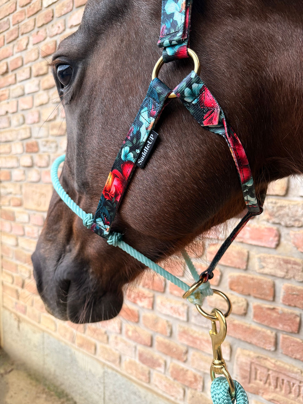 Thumbnail: Hybrid Lariat Halter - Lush