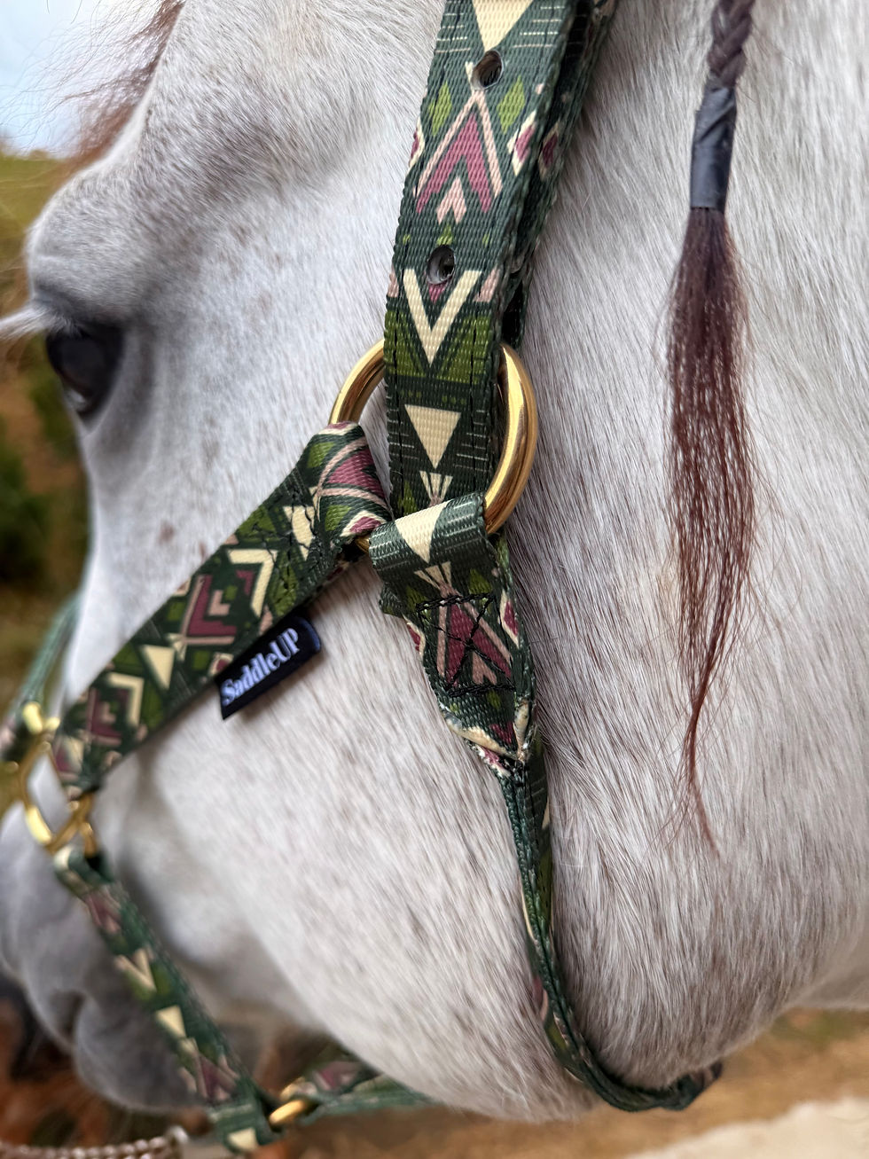 Thumbnail: Patterned Horse Halter