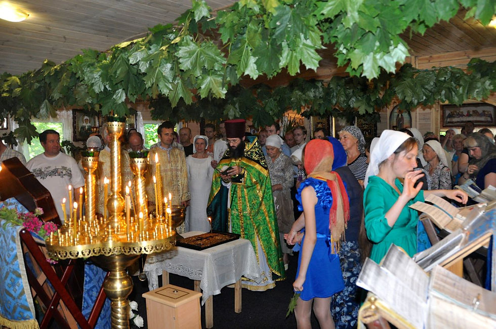 Троица 2014