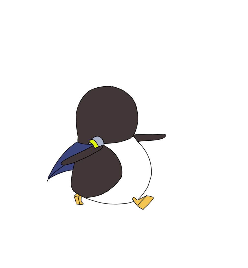 motion design, illustration
