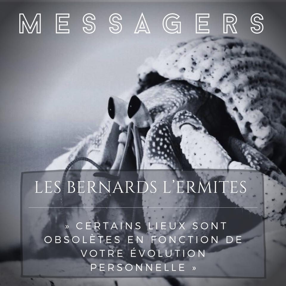 Les Messagers 2 Les Origines Du Mal Les bernards lermites "messagers"