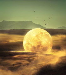 💌 La lecture du compte rendu