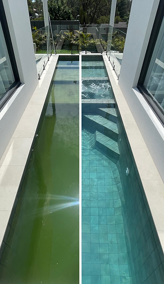 Sydney Pool Cleaners Green Algae Repair Removal.JPG