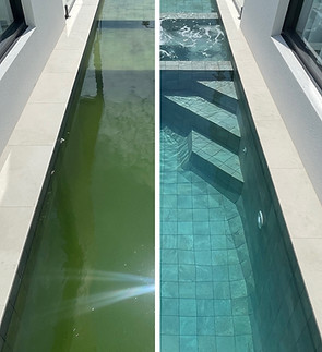 Sydney Pool Cleaners Green Algae Repair Removal_edited.jpg