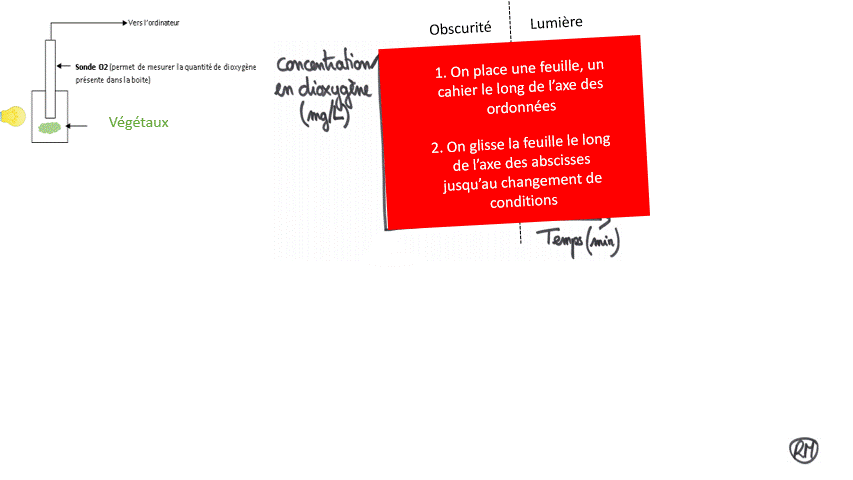 Astuce analyse.gif
