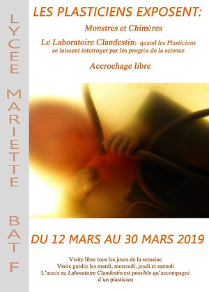 affiche1 ok (Copier).jpg