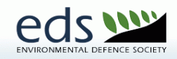 EDS logo.gif