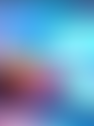 The Smart-Girl Economy: How Rakuten Turns Everyday Spending Into Power 💅📈