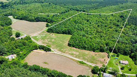 dji_fly_20250609_134408_480_1749495378355_photo_optimized.jpeg