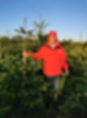 Grove House Christmas Tree Farm