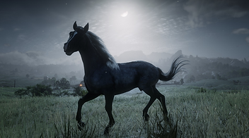 rdr2horses.wixsite.com_Nakota_05.png
