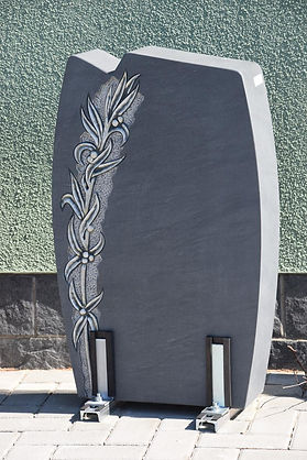 DSC_6458 (Copy).JPG