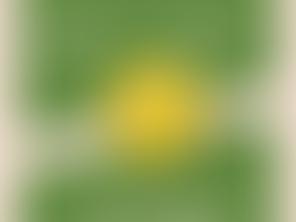 STAGE JEUNES d'AVRIL