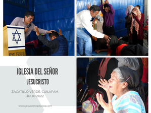 ACTIVIDAD ZACATILLO VERDE, CUILAPAM GRO.