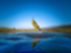 AdobeStock_328519216.jpeg