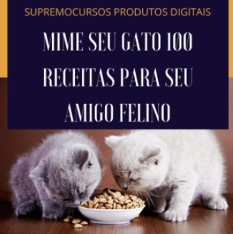 alimentação gatos.jpg