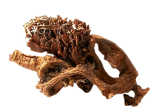 pasuchaca-geranium-dielsianum_edited.png
