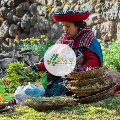 peruvian mint andes