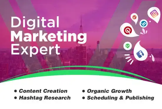 Organic Social Media Growth