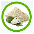 soursop fruit.webp