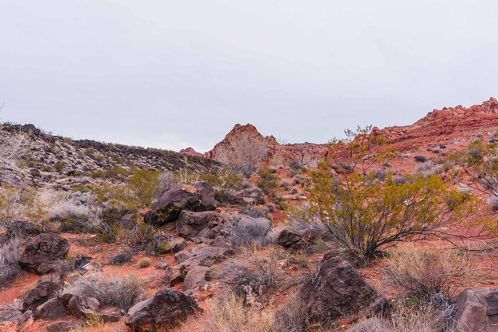 Red rock views while hiking Scout Cave trail outside Snow Canyon State park in Southern Utah