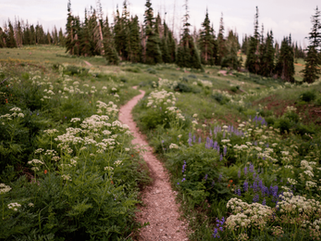 Escape the Heat & Head to the Mountains of Southern Utah - 8 Spots To Visit
