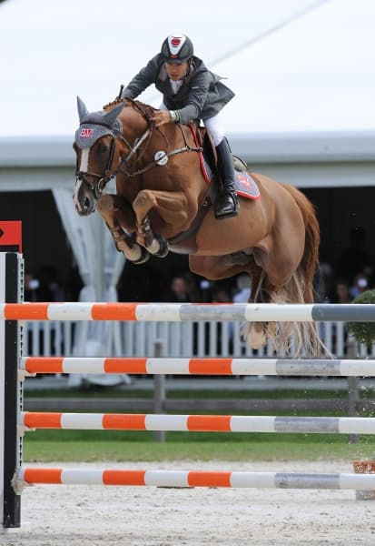 Miniature : CARTOON Z