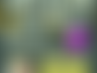 IEDERE GROEP 8 VERDIENT EEN GALA: HET GROTE GROEP 8 GALA!