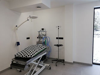 IMG_20190130_105621_resized_20190130_110