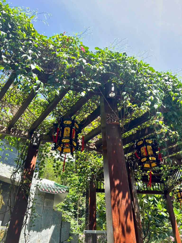 God's Vineyard