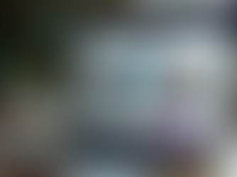 Exploring The Guardian News Website: Features and User Experience