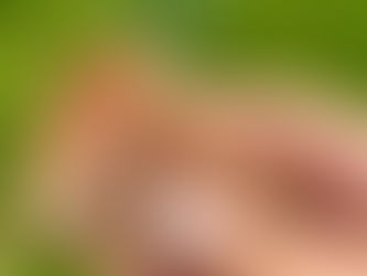 O poder da ônix picasso