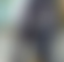 梁智基 Sherman   Leung奸佞小人